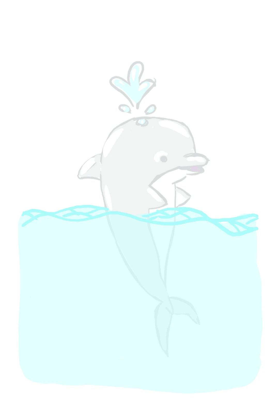 Dolphin